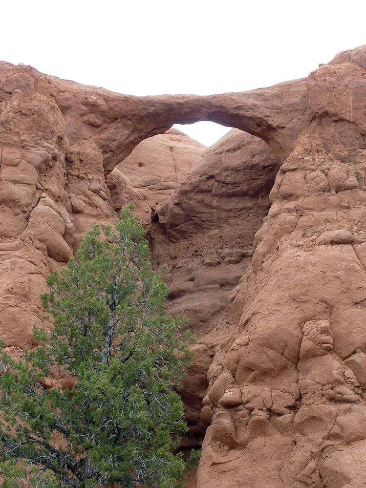 kodachrome basin (13).JPG